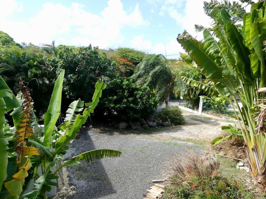 Villa Tikitanga Avec Piscine 10X5M A 650M De La Mer Saint-Francois  Exterior foto
